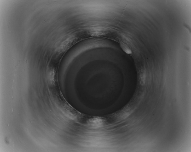 X0000101690219200807101521