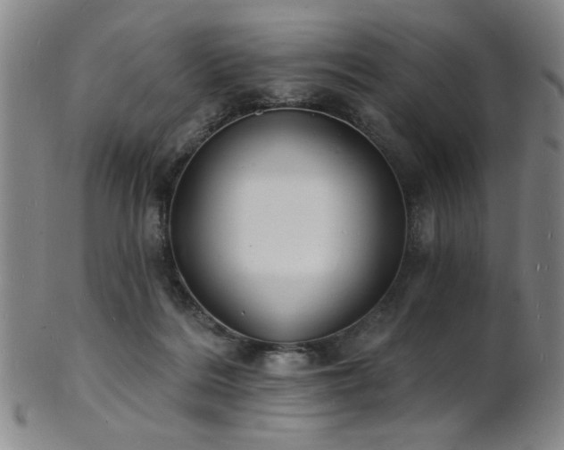 X0000101690220200807101521