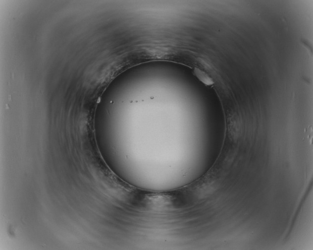 X0000101690221200807101521