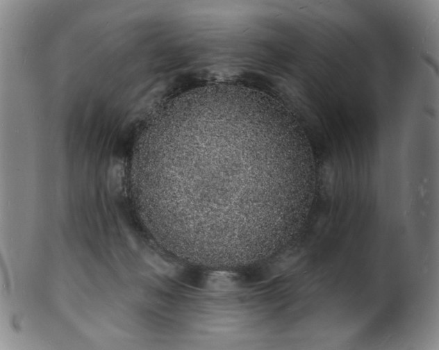 X0000101690222200807101521