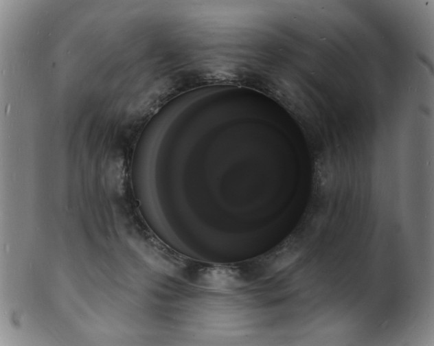 X0000101690223200807101521