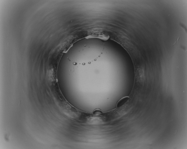 X0000101690224200807101521