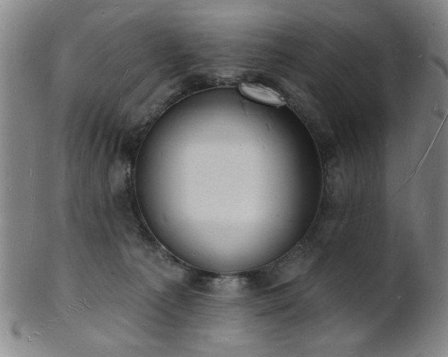 X0000101690225200807101521