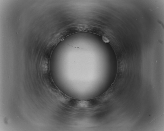 X0000101690226200807101521