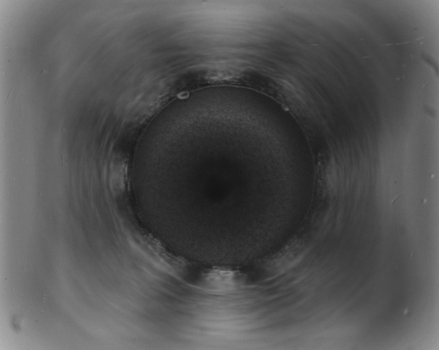 X0000101690227200807101521