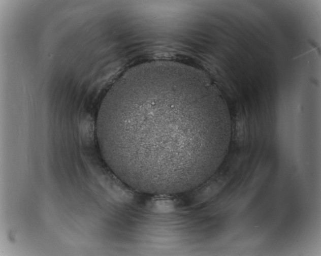 X0000101690228200807101521