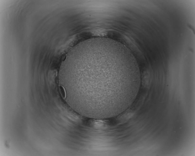 X0000101690229200807101521