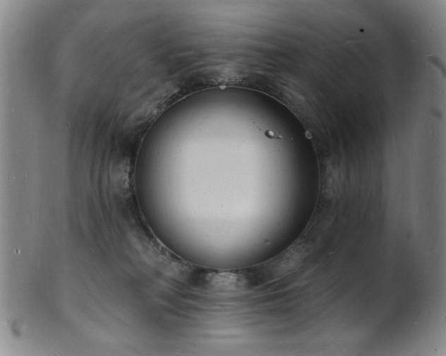 X0000101690230200807101521