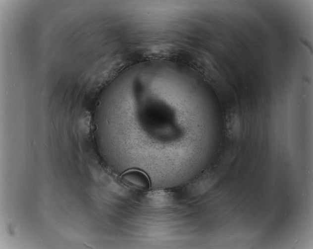 X0000101690231200807101521