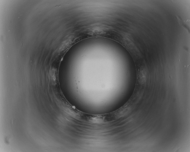 X0000101690232200807101521