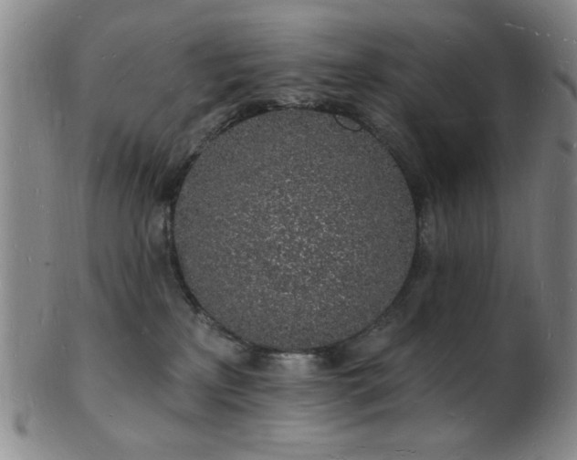 X0000101690233200807101520