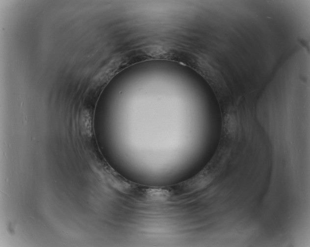 X0000101690234200807101520