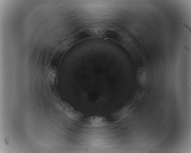 X0000101690235200807101520