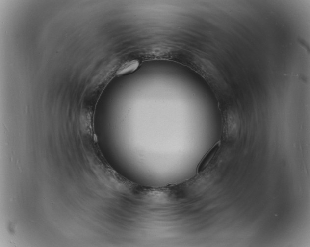 X0000101690236200807101520