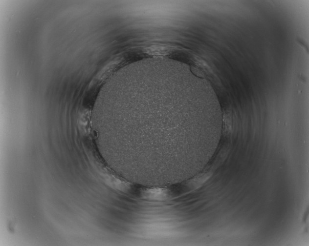 X0000101690237200807101520