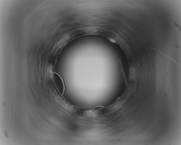 X0000101690238200807101520