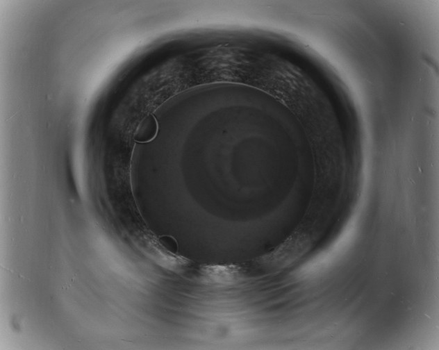 X0000101690239200807101520