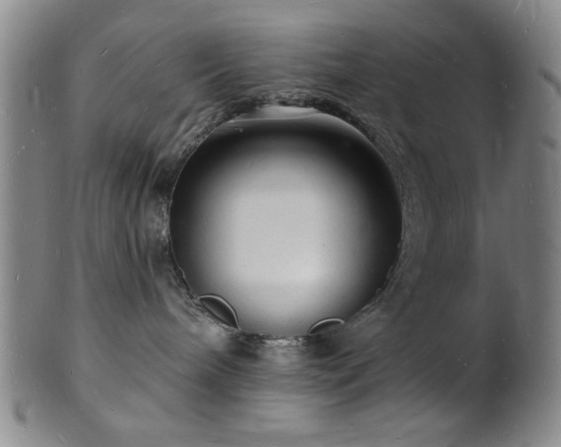 X0000101690240200807101520