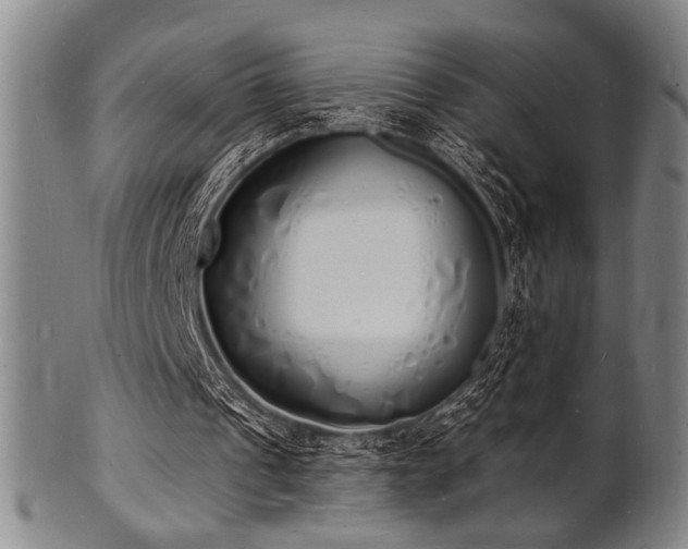 X0000101690241200807101520