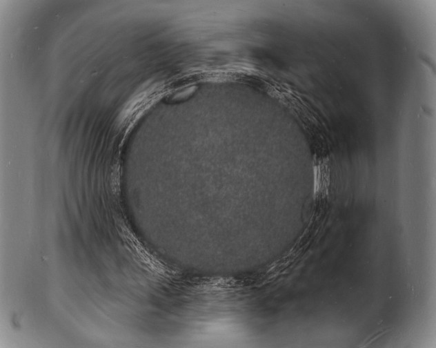 X0000101690243200807101520