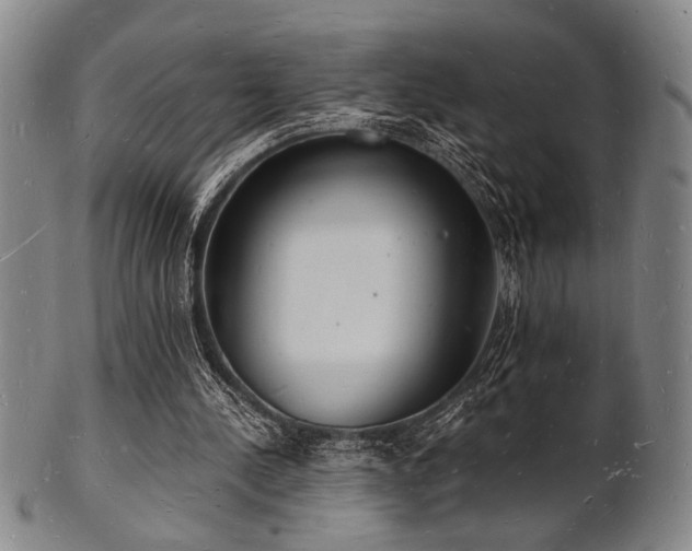 X0000101690244200807101520