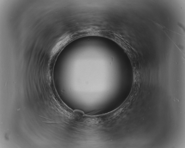 X0000101690245200807101520