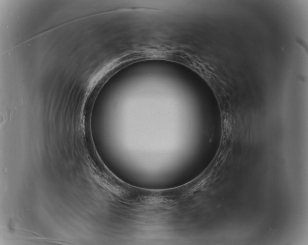 X0000101690246200807101520