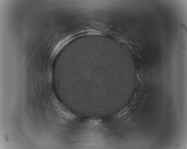 X0000101690247200807101520