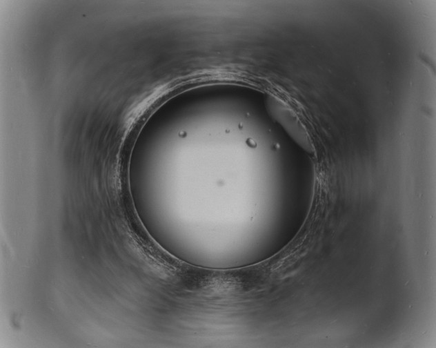 X0000101690248200807101520