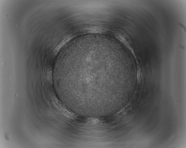 X0000101690249200807101520