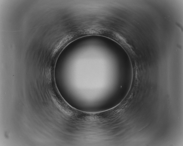 X0000101690250200807101520