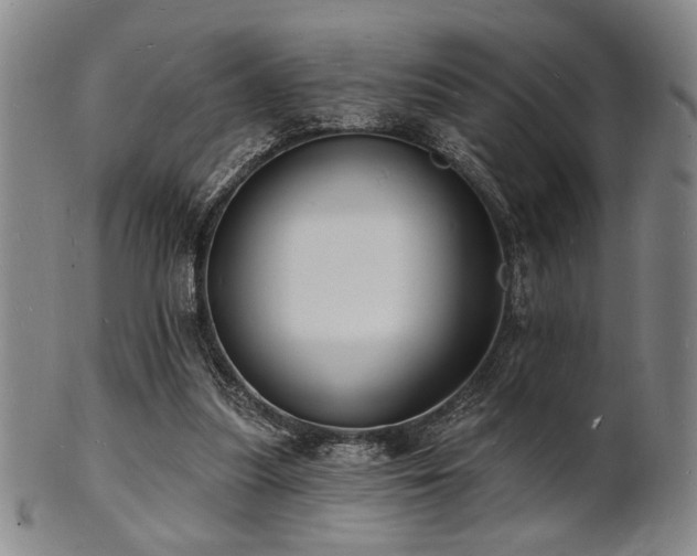 X0000101690251200807101520