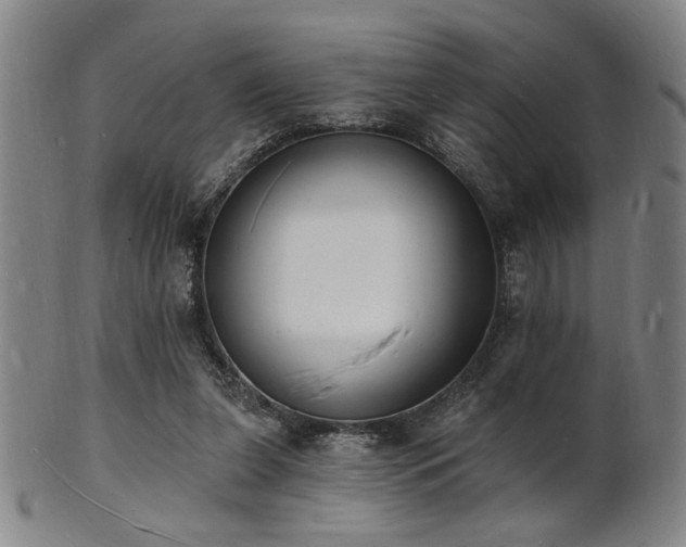 X0000101690255200807101520