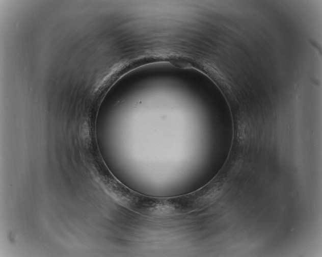 X0000101690256200807101520