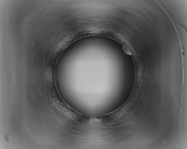 X0000101690257200807101520