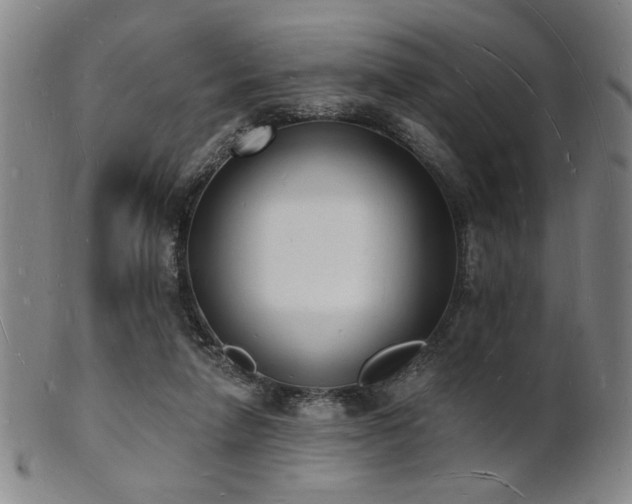 X0000101690258200807101520