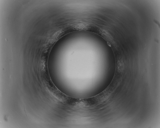 X0000101690259200807101520