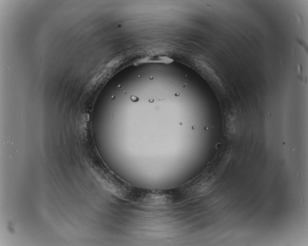 X0000101690260200807101520