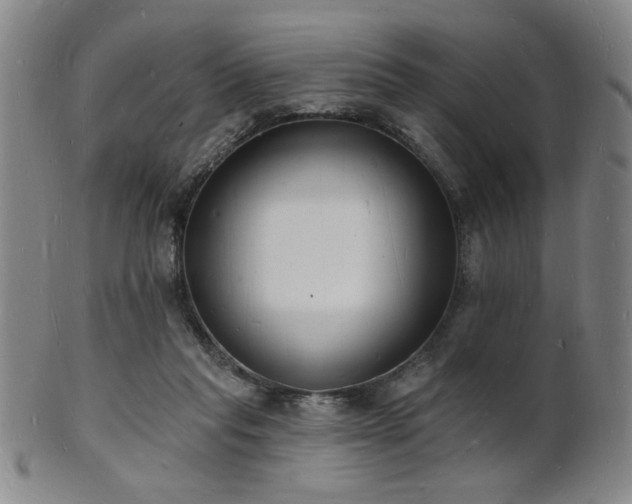 X0000101690261200807101520