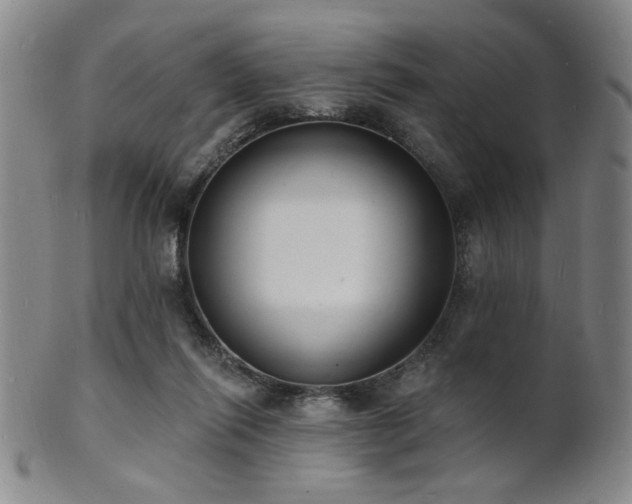 X0000101690262200807101520