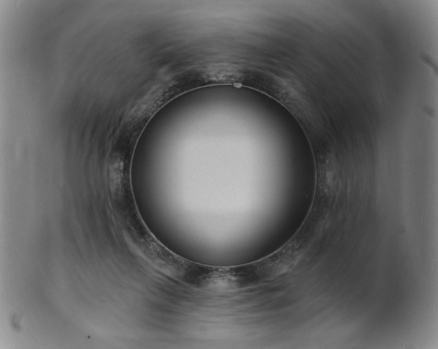 X0000101690263200807101520