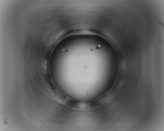 X0000101690264200807101520