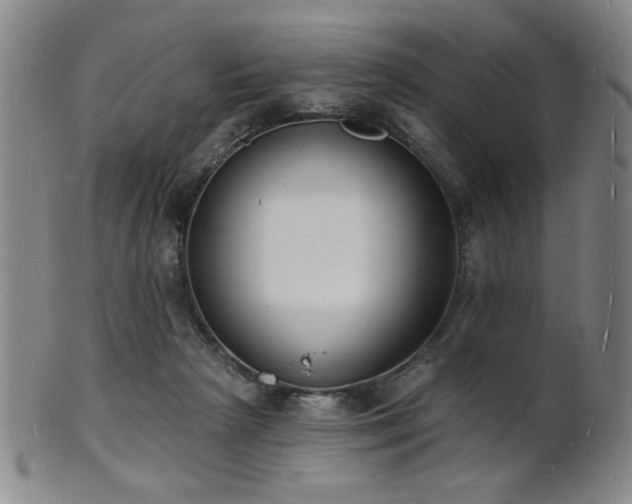 X0000101690265200807101520