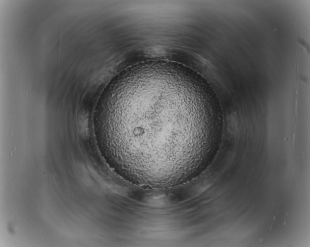 X0000101690267200807101520