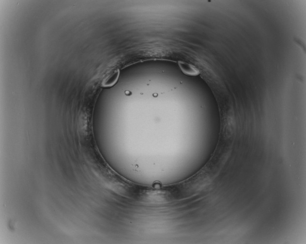 X0000101690268200807101520