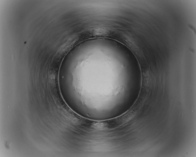 X0000101690269200807101520