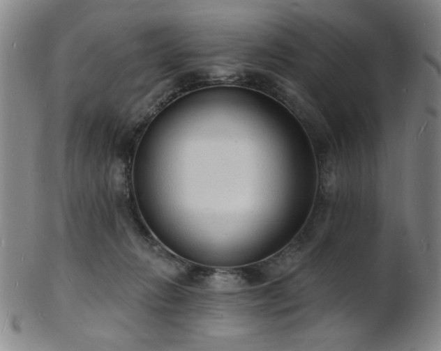 X0000101690270200807101520