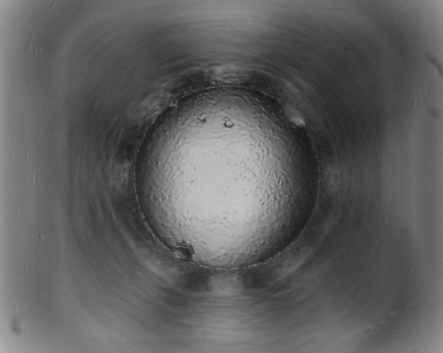 X0000101690271200807101520