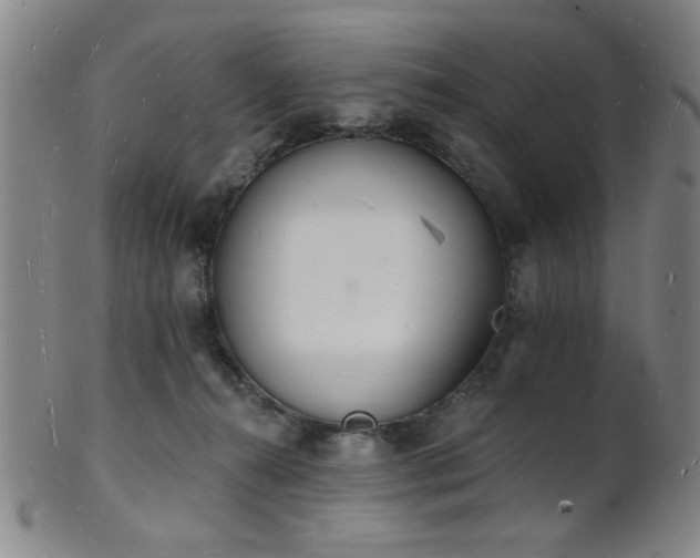 X0000101690272200807101520