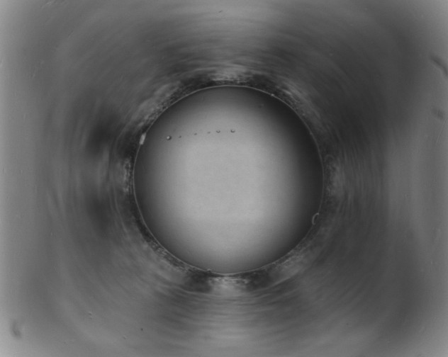 X0000101690273200807101520